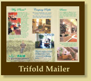 Trifold Mailer